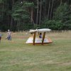 DSC_6061 (800x531)